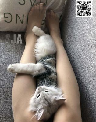 免费91网站_免费手机在线看观看